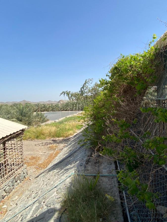 Uae Farm Βίλα Qur Εξωτερικό φωτογραφία